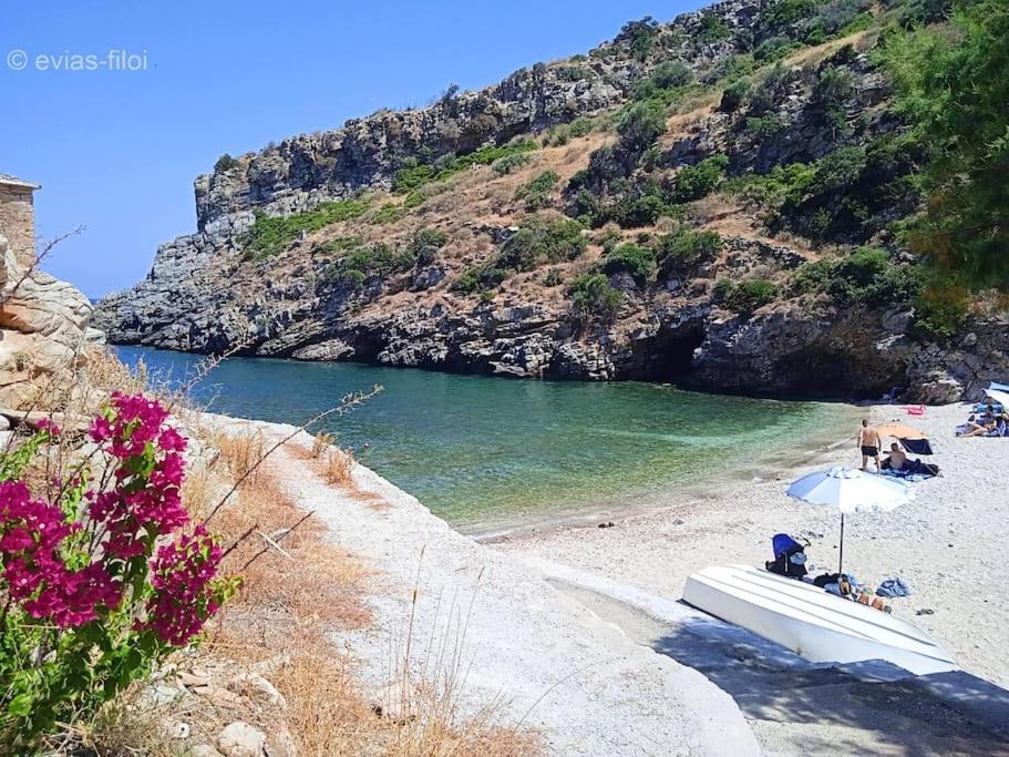 Willa Παραθαλασσιο Σπιτι Στην Εξοχη Tsakei Zewnętrze zdjęcie
