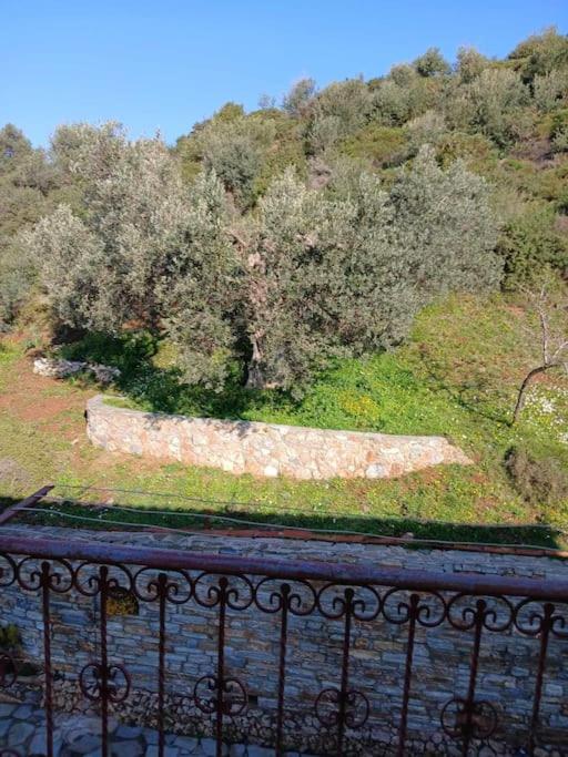 Willa Παραθαλασσιο Σπιτι Στην Εξοχη Tsakei Zewnętrze zdjęcie